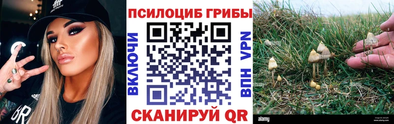 цены наркотик  Алапаевск  omg зеркало  Галлюциногенные грибы ЛСД 